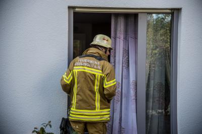 Esslingen: Rauchmelder verhindert Wohnungsbrand - Hamster gerettet